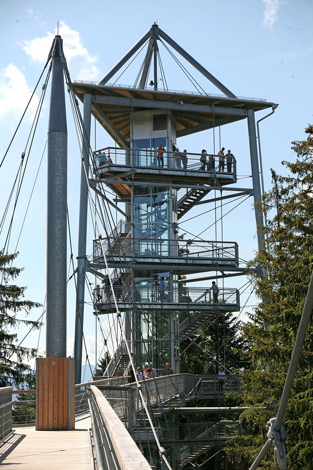Aufzug des Monats November